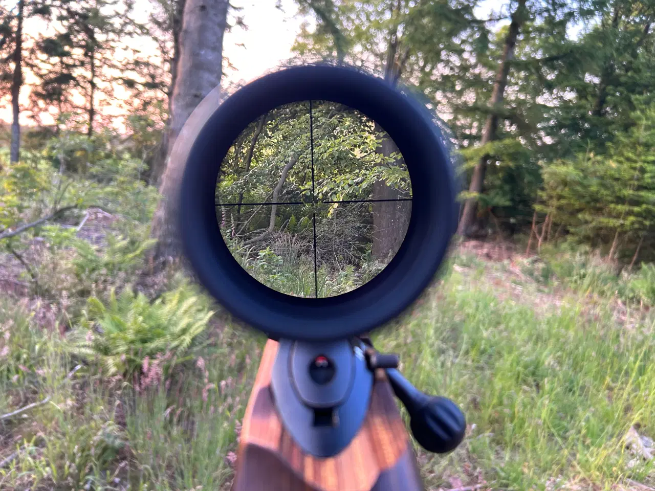 Billede 4 - Sauer 100 med GRS, Swarovski kikkert og lyddæmper
