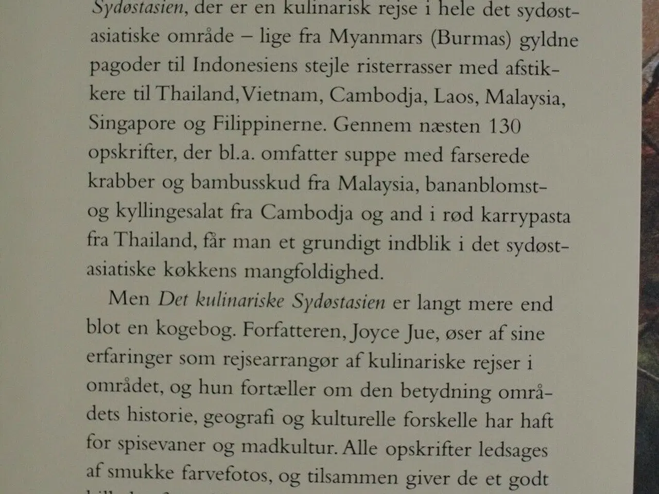 Billede 3 - det kulinariske sydøstasien, af joyce jue. madfoto