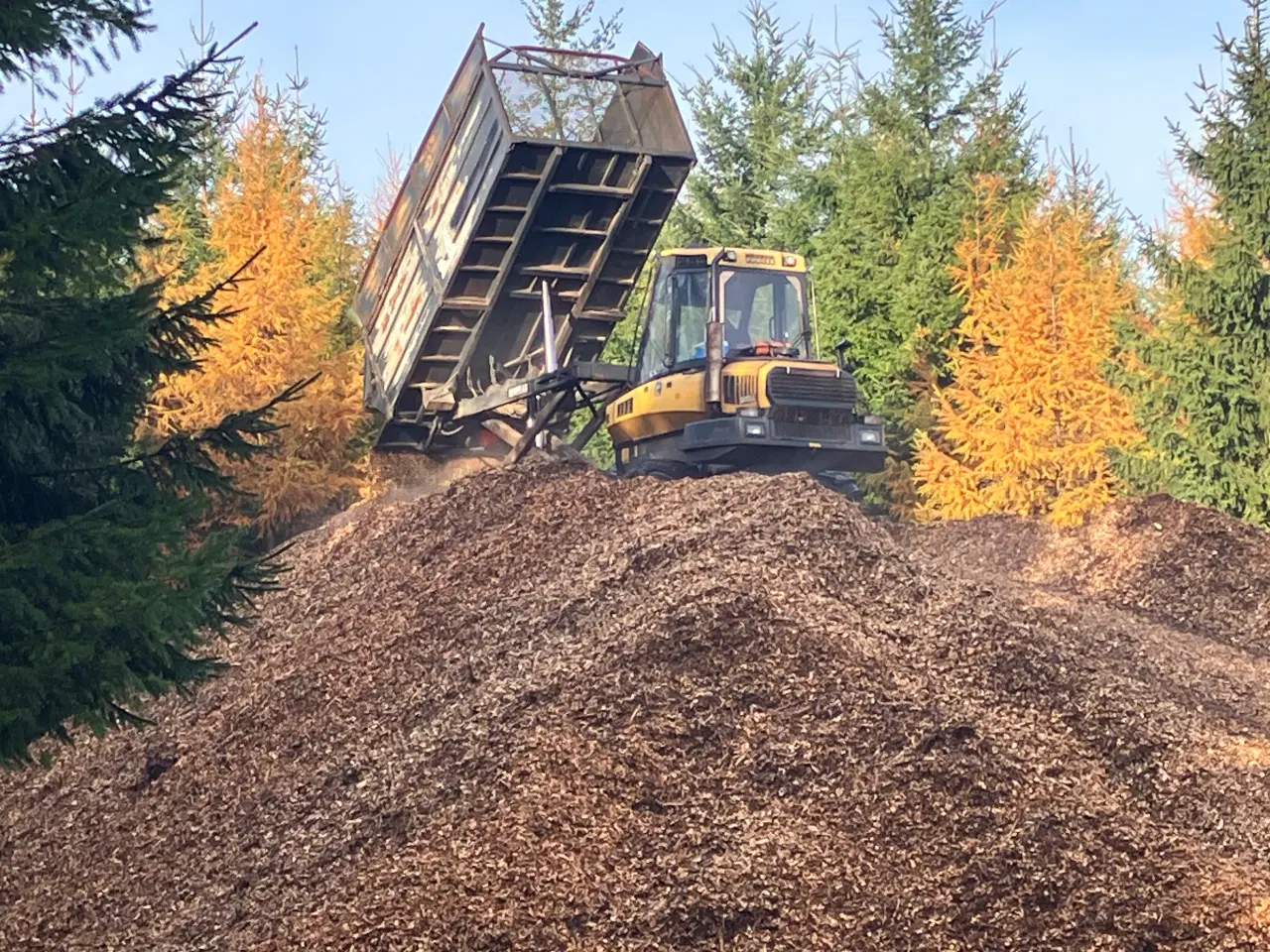 Billede 2 - Flis / Miniflis / Stokerflis