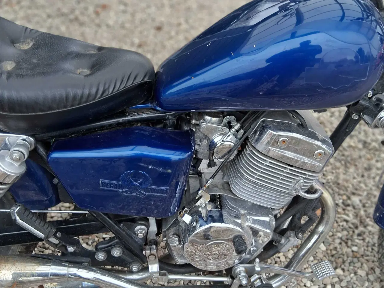 Billede 3 - Raptor regal, dadyw