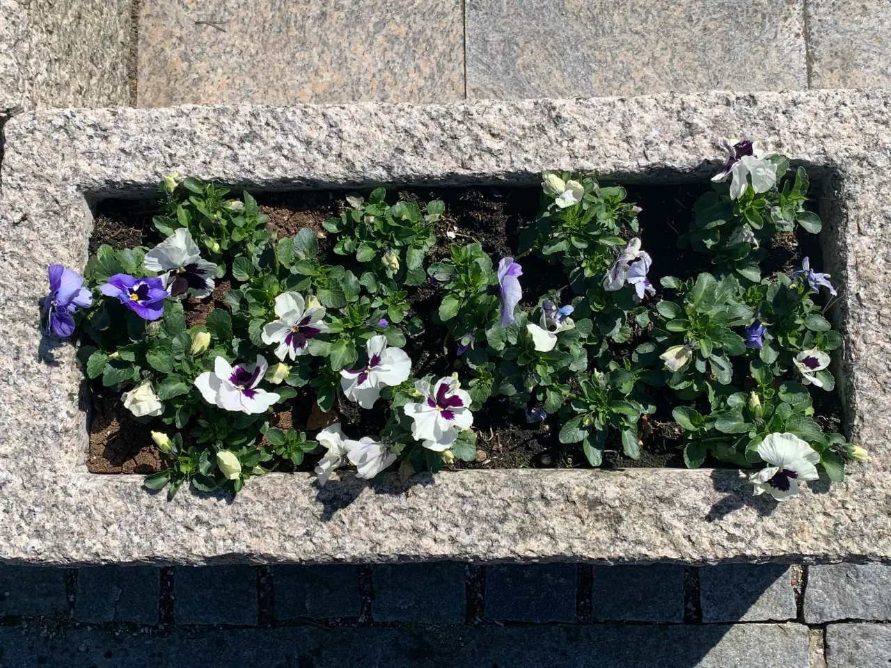 Billede 3 - Unikke aflange blomsterkrukker i massiv granit 