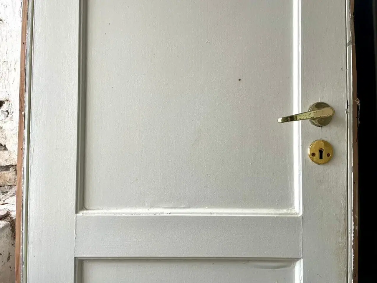 Billede 4 - Klassisk, smal fyldningsdør m. karm