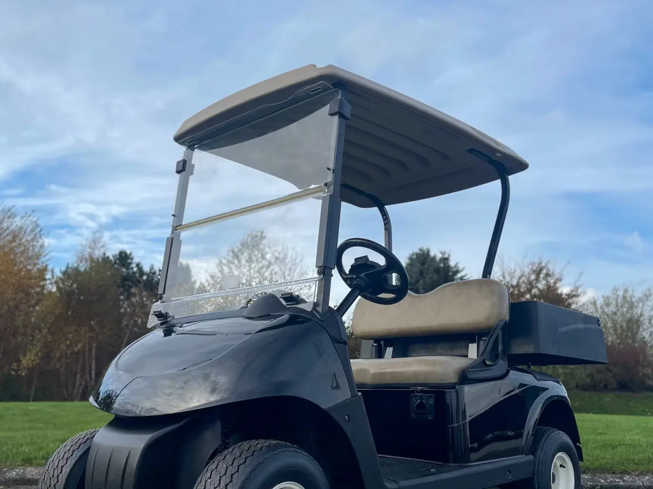 Billede 1 - Elektrisk golfbil (2018)