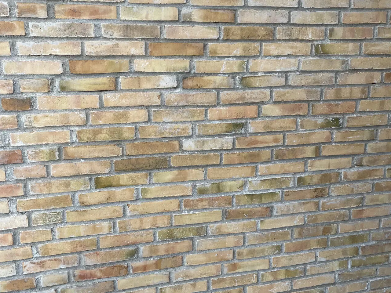Billede 1 - Gule hårdbrændte mursten