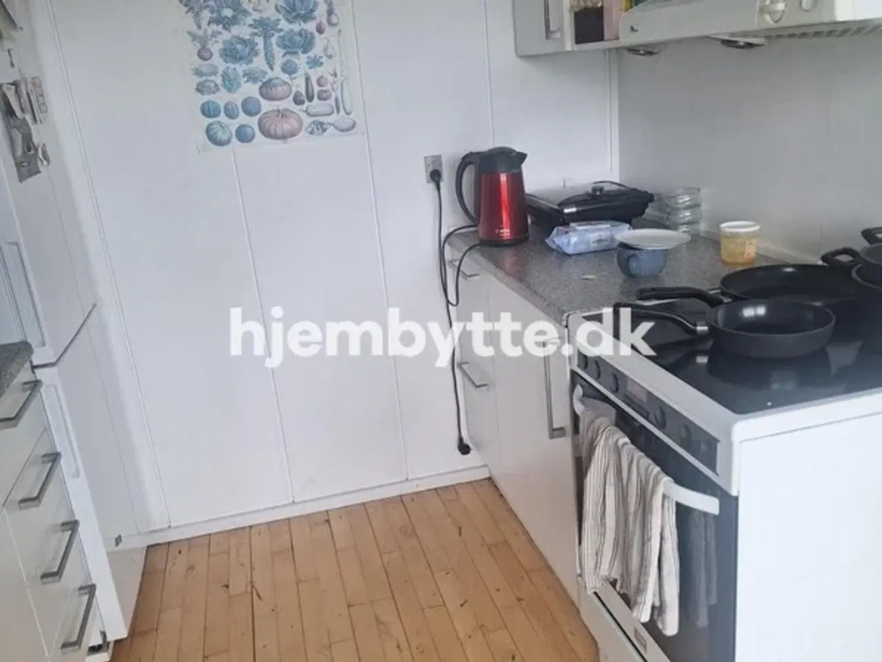 Billede 2 - Hjembytte - Muskathaven