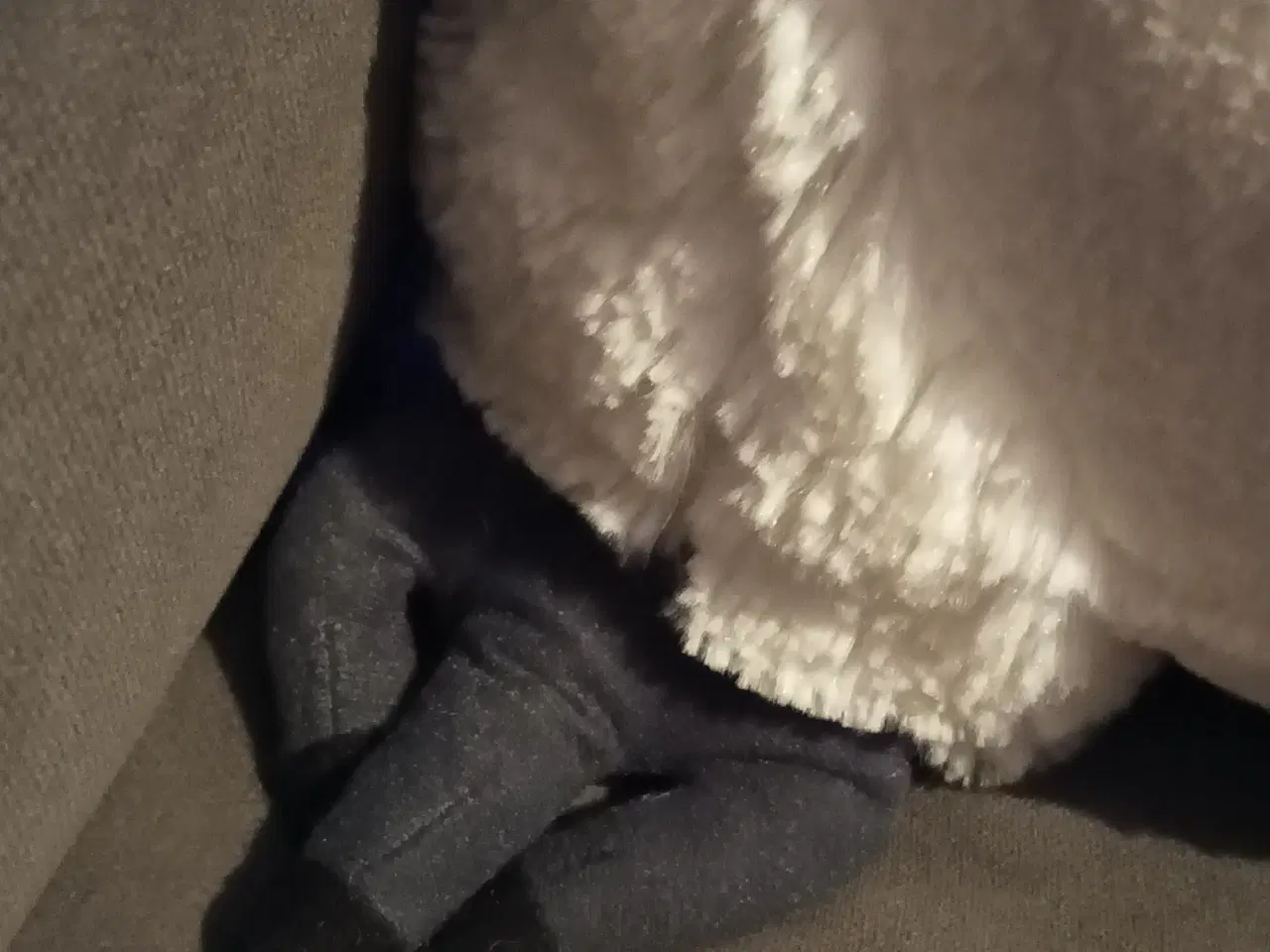 Billede 3 - Store pingviner 