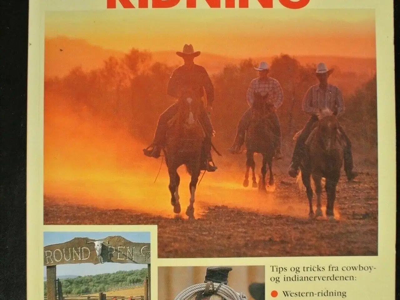 Billede 1 - westernridning - tips og tricks, af renate ettl, e