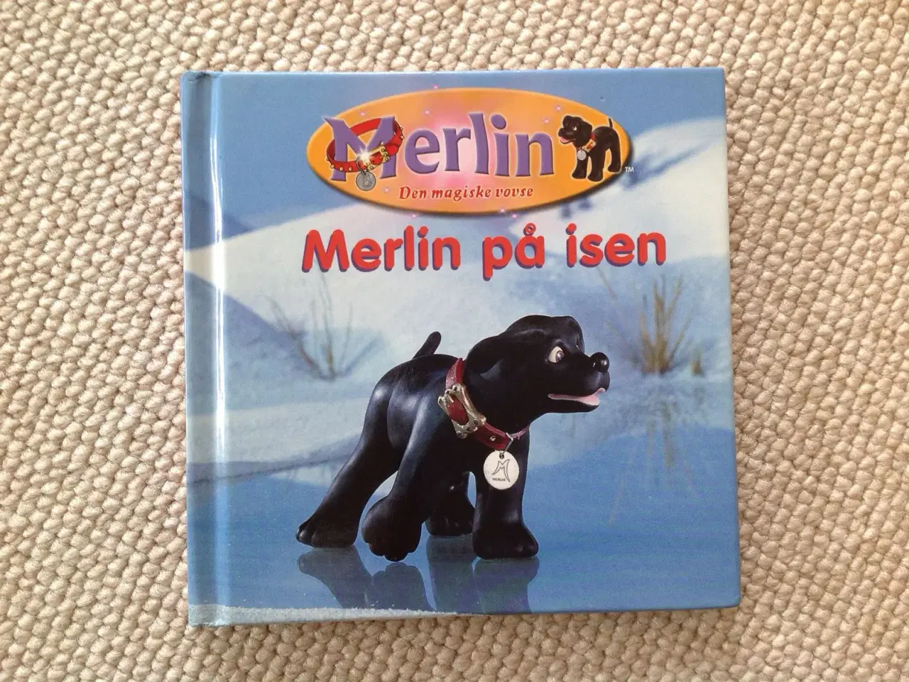 Billede 1 - Merlin på isen