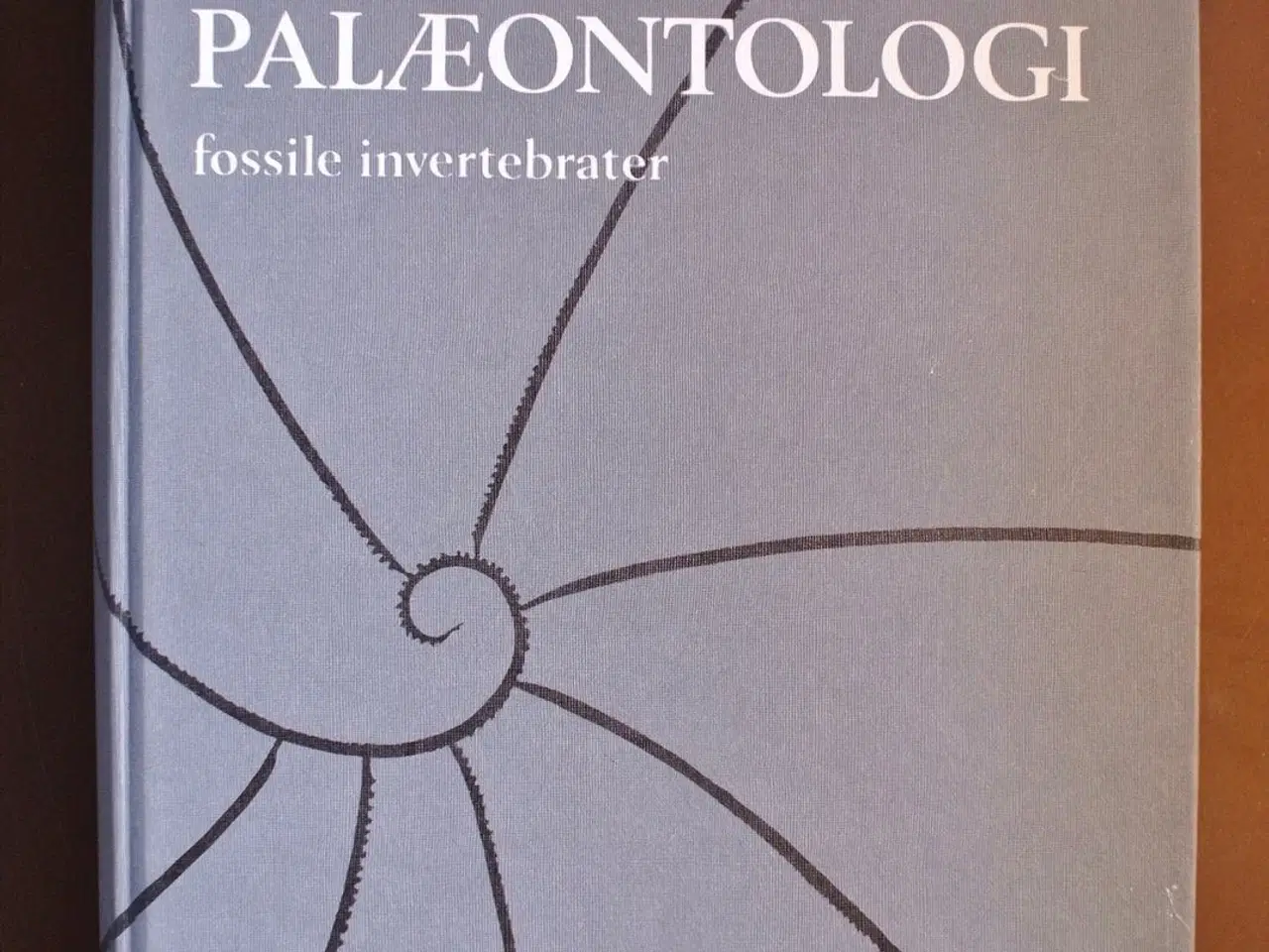 Billede 1 - palæontologi fossile invertebrater, af wienber ras