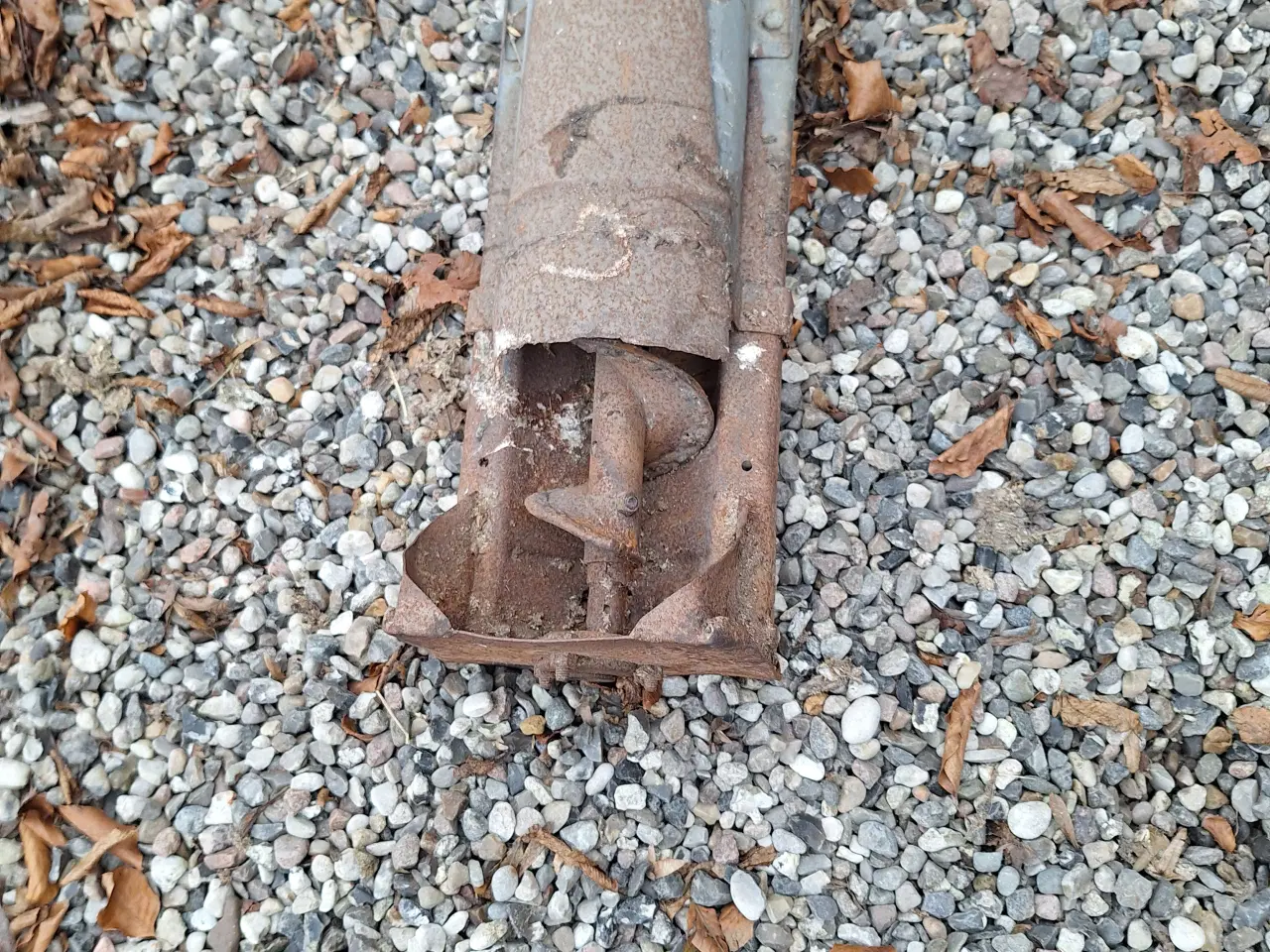 Billede 6 - Stor Kornsnegl "virker"