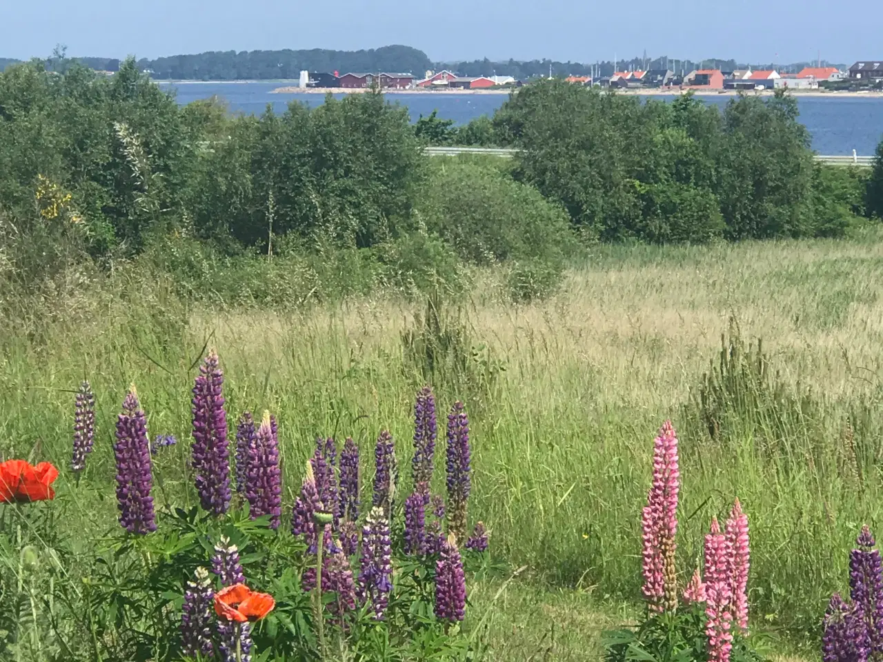 Billede 3 - 2 boliger v. skov, fjord og Glyngøre. 