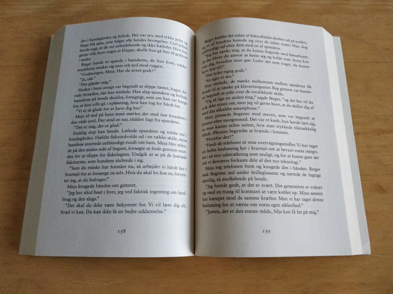 Billede 3 - Sommermørke, Stina Jackson