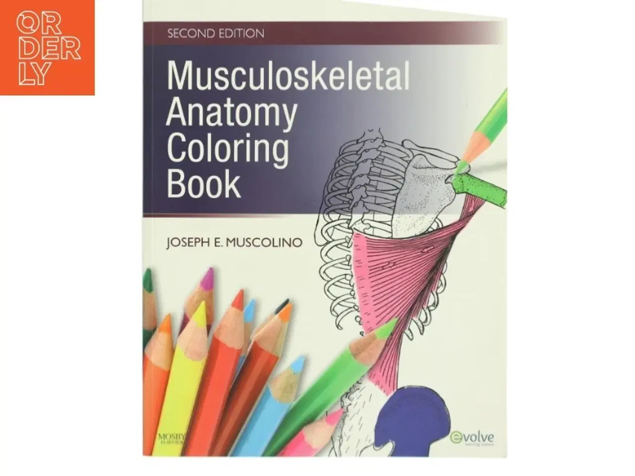 Billede 1 - Musculoskeletal Anatomy Coloring Book af Joseph E. Muscolino (Bog)