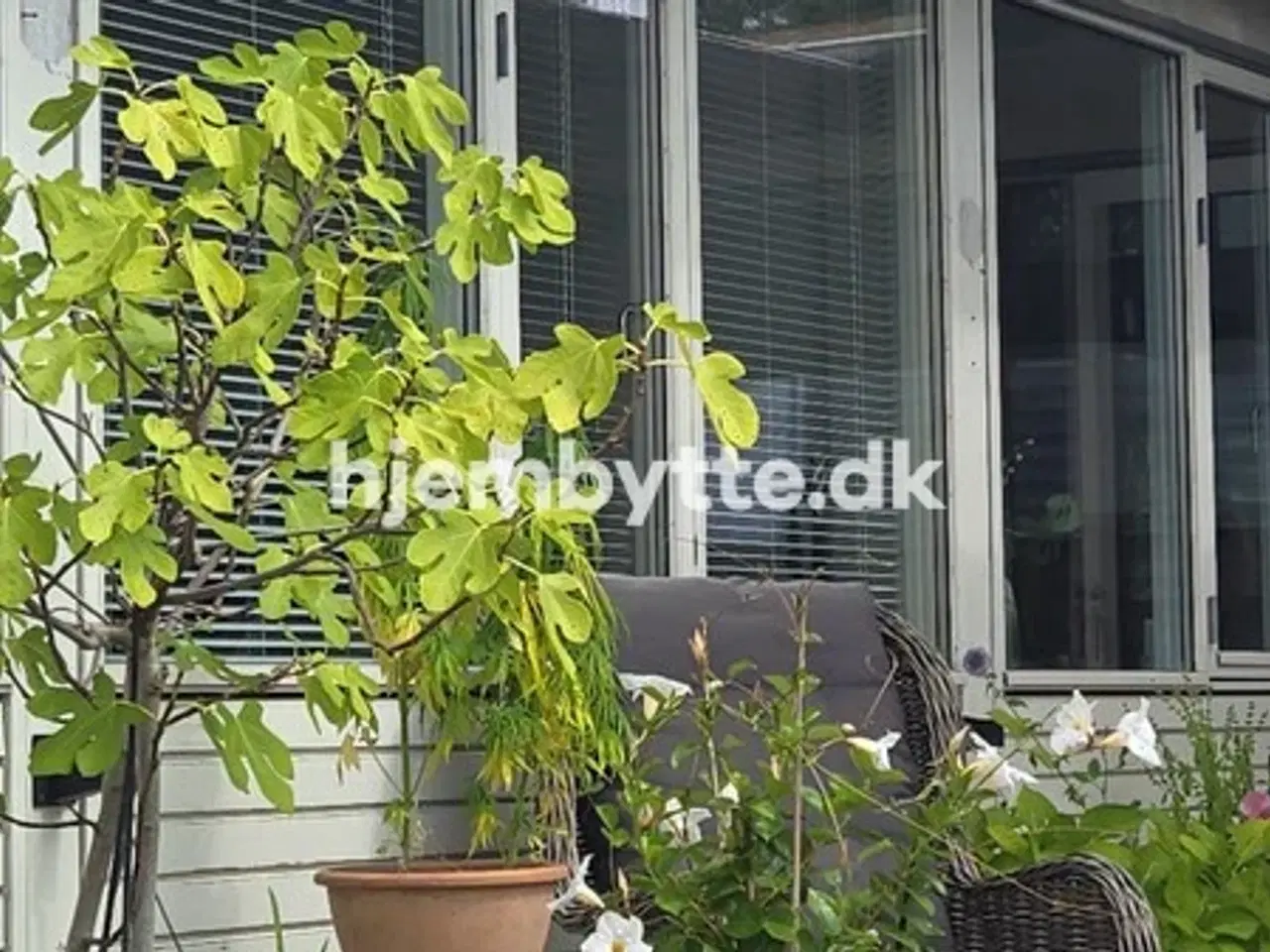 Billede 1 - Hjembytte - TræetsKvarter