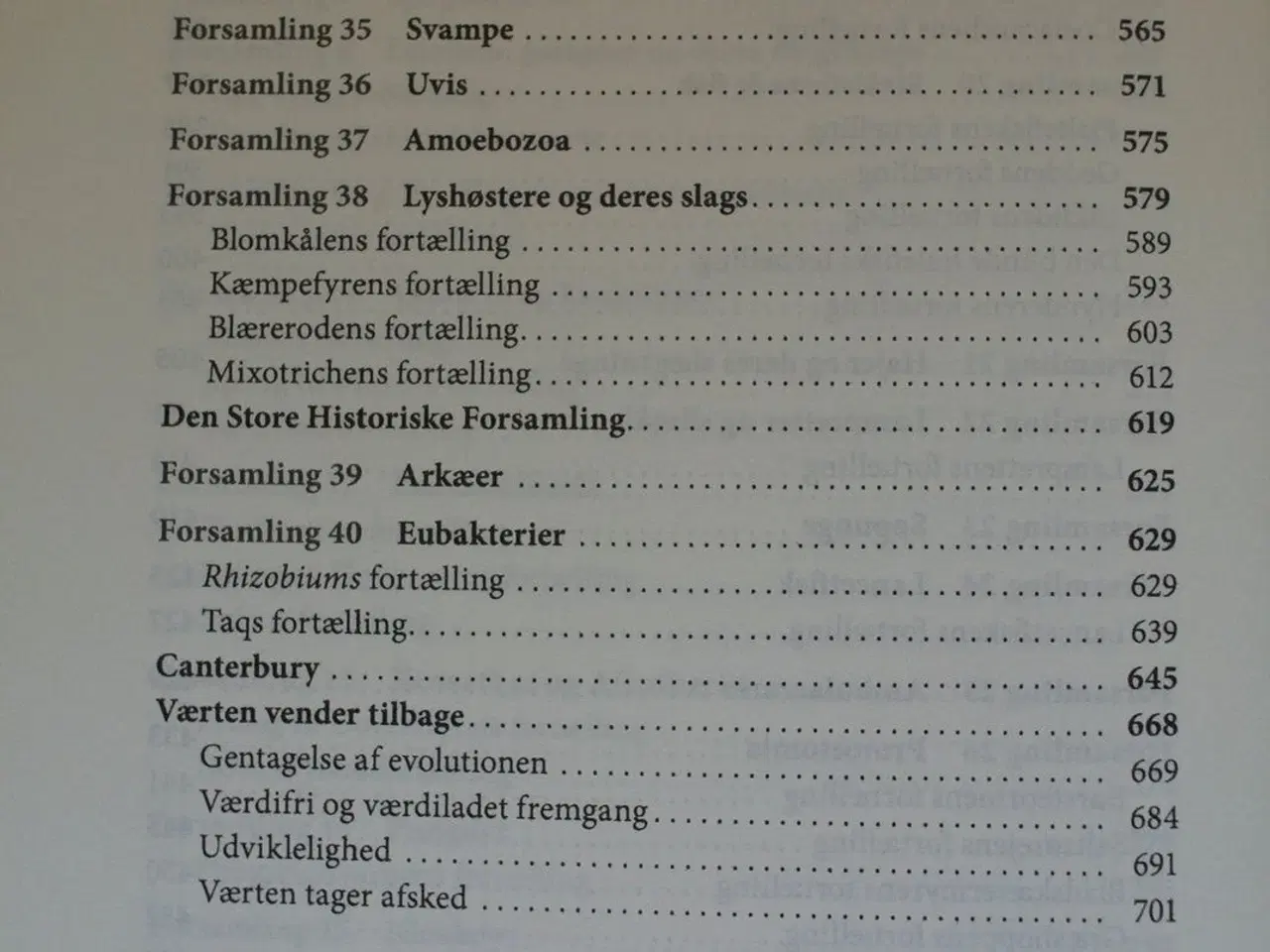 Billede 4 - vores forfædres fortælling - en pilgrimsrejse til 