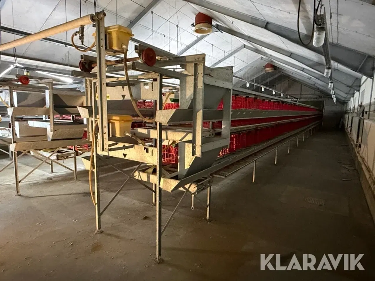 Billede 3 - Produktionslinje Landmeco æglægger system