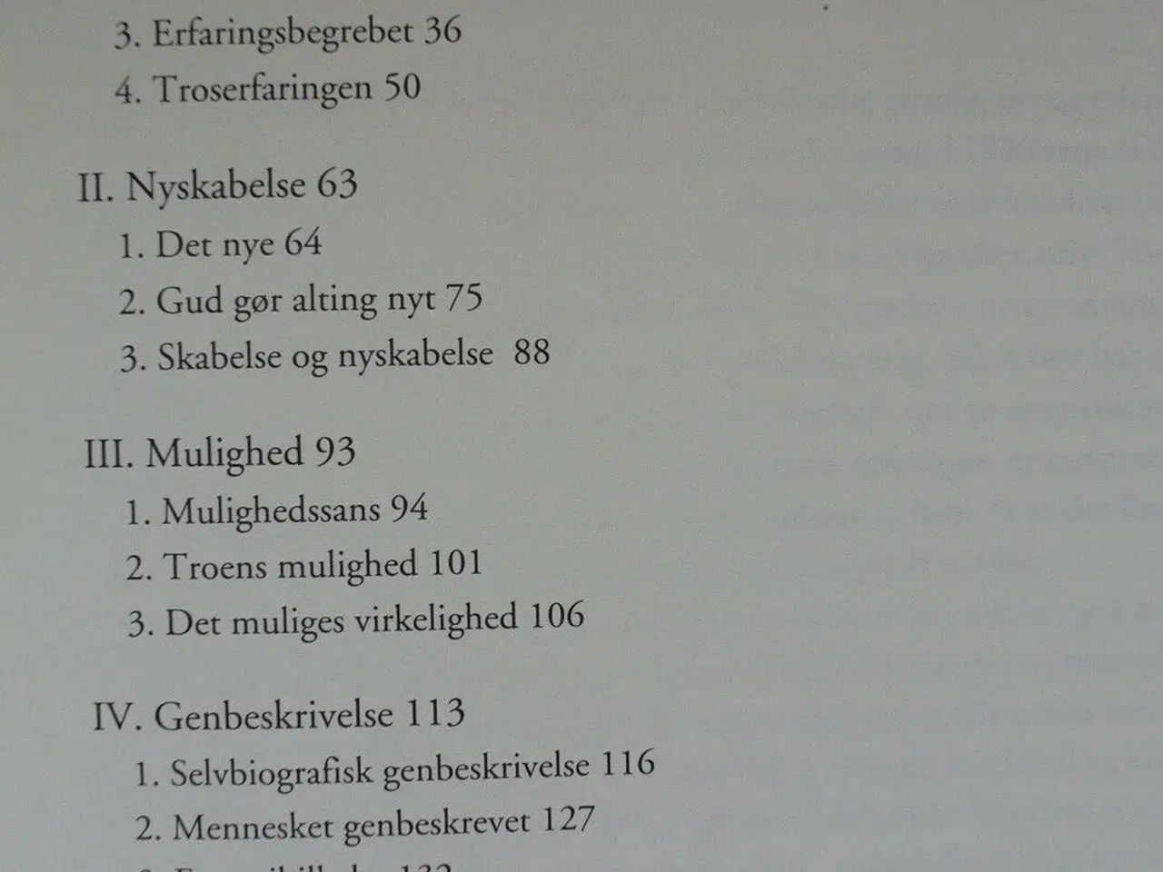 Billede 2 - tro og erfaring, af svend bjerg, emne: religion