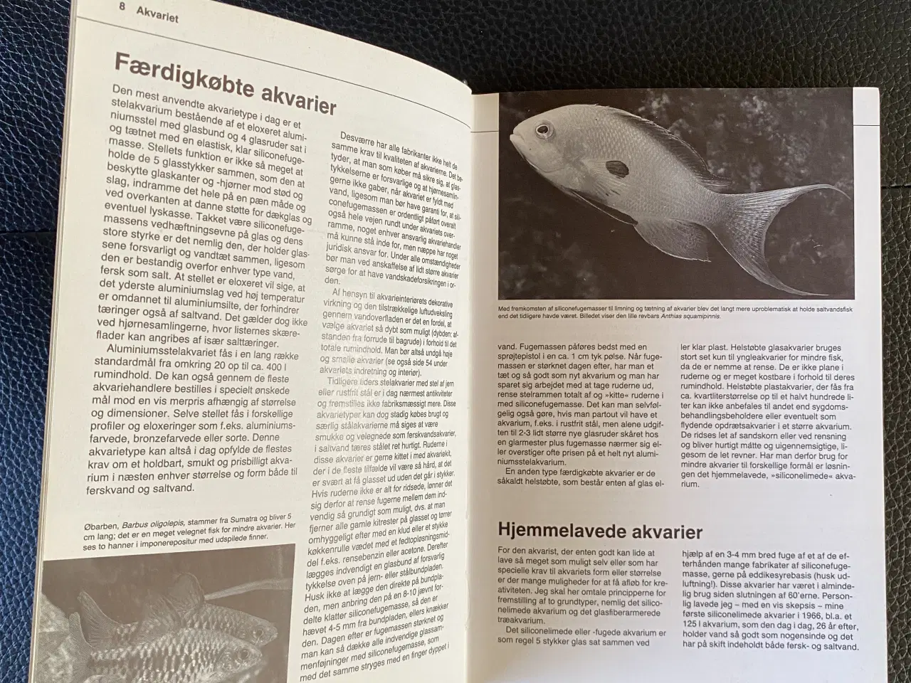 Billede 3 - Politikens Akvariebog 