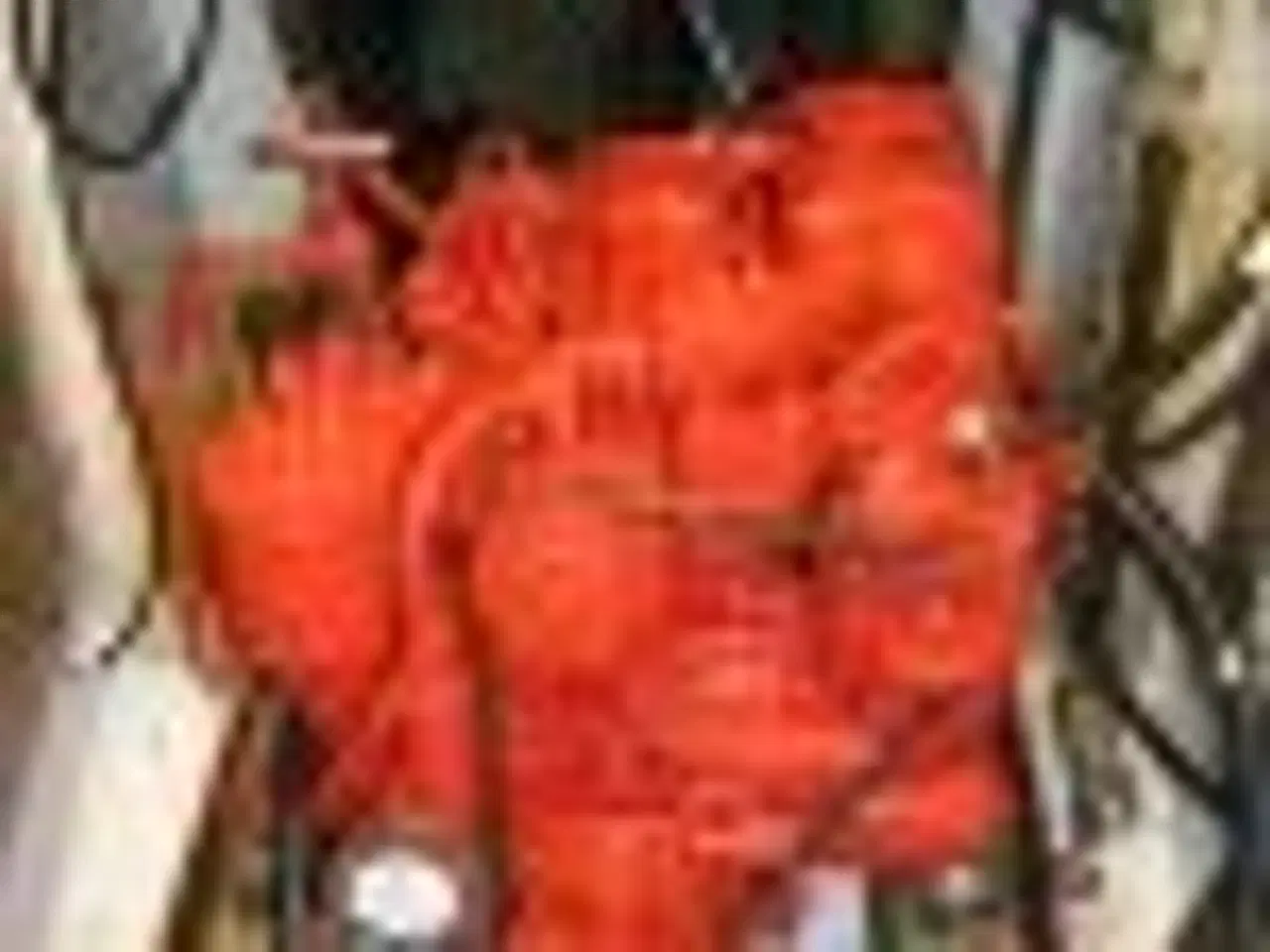 Billede 7 - Danboat 29, sejlbåd ligger på land.