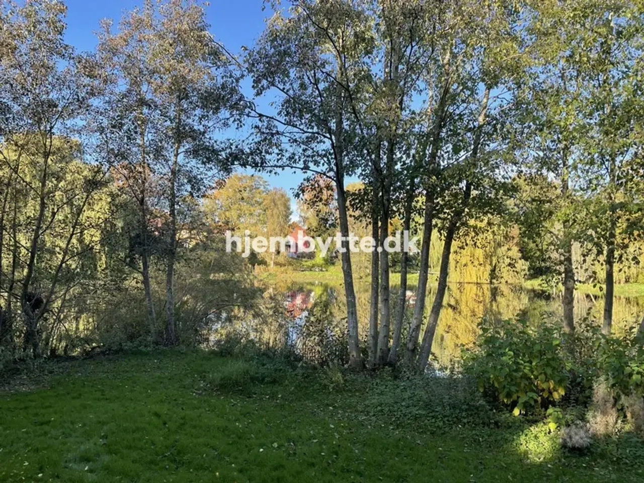 Billede 10 - Hjembytte - Tværvangen