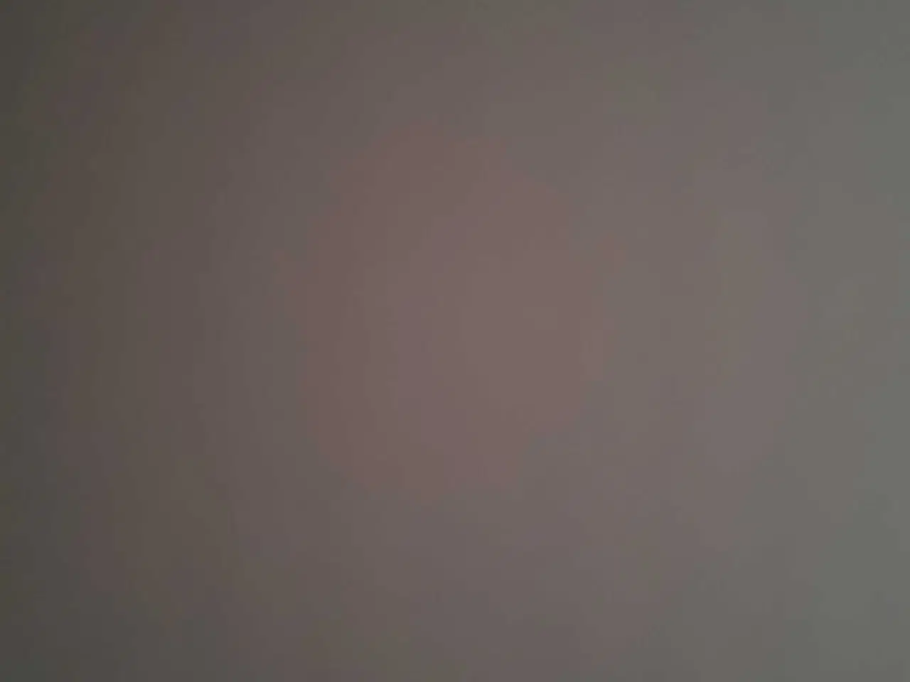 Billede 1 - Undulat købes tam