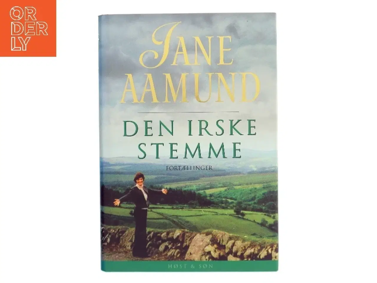 Billede 1 - Den irske stemme : fortællinger af Jane Aamund (Bog)