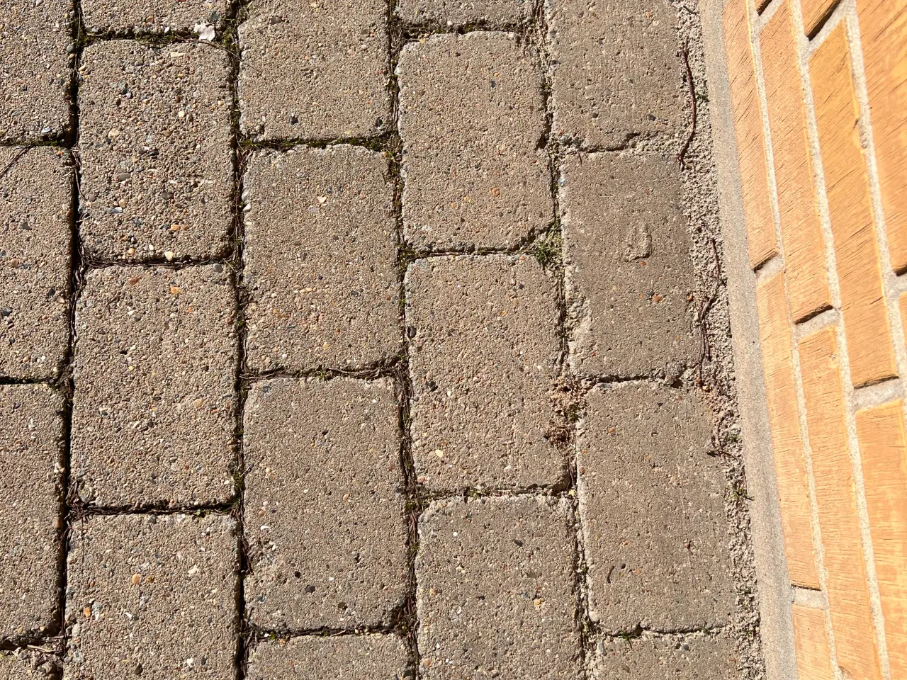 Billede 3 - Herregårdssten, grå - 150m2