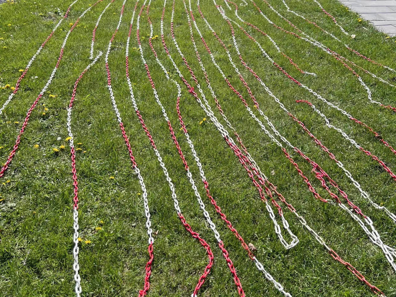 Billede 3 - 200 m. Røde og hvide plastkæder / afspærringskæder