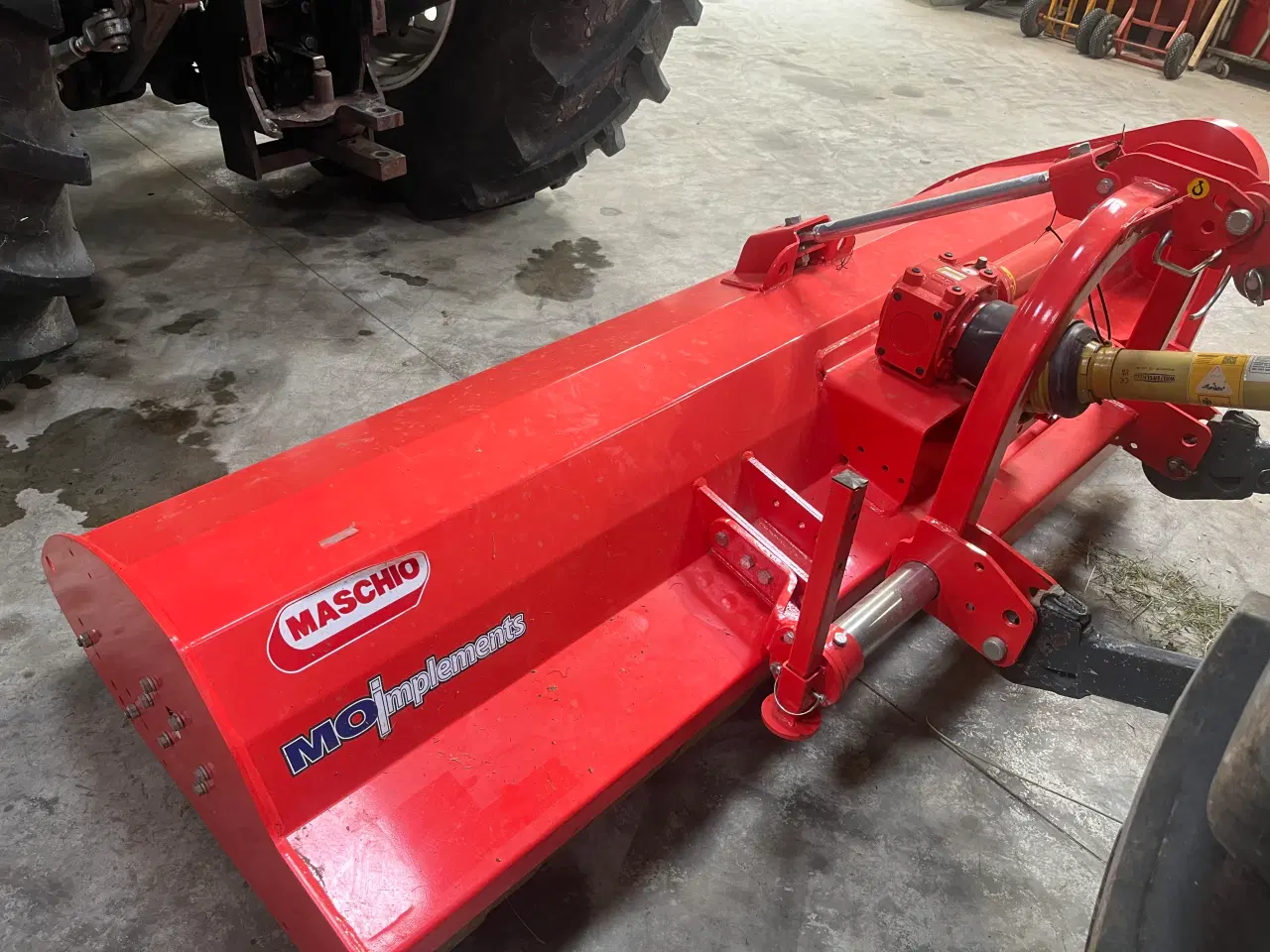 Billede 3 - Brakpudser maschio brava
