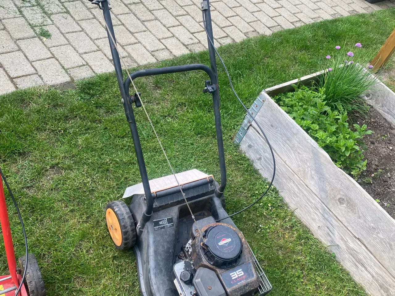 Billede 9 - Rotor plæneklipper 