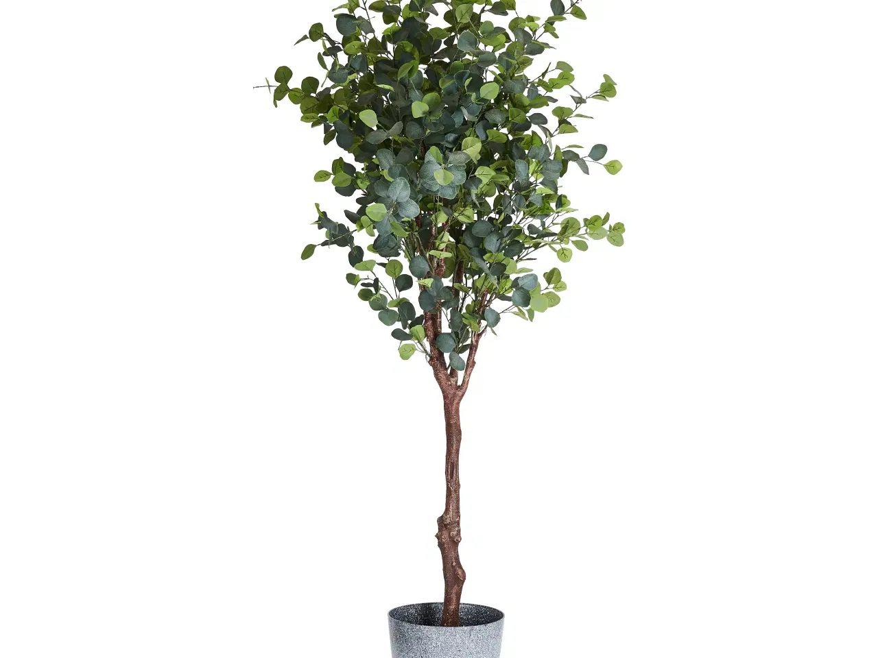 Billede 1 - Kunstig plante Eukalyptus træ 220 cm. 