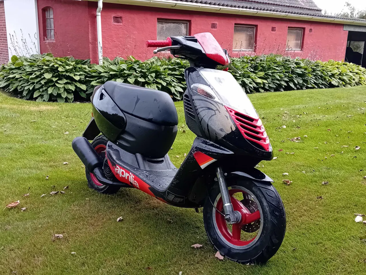 Billede 2 - Aprilia sonic