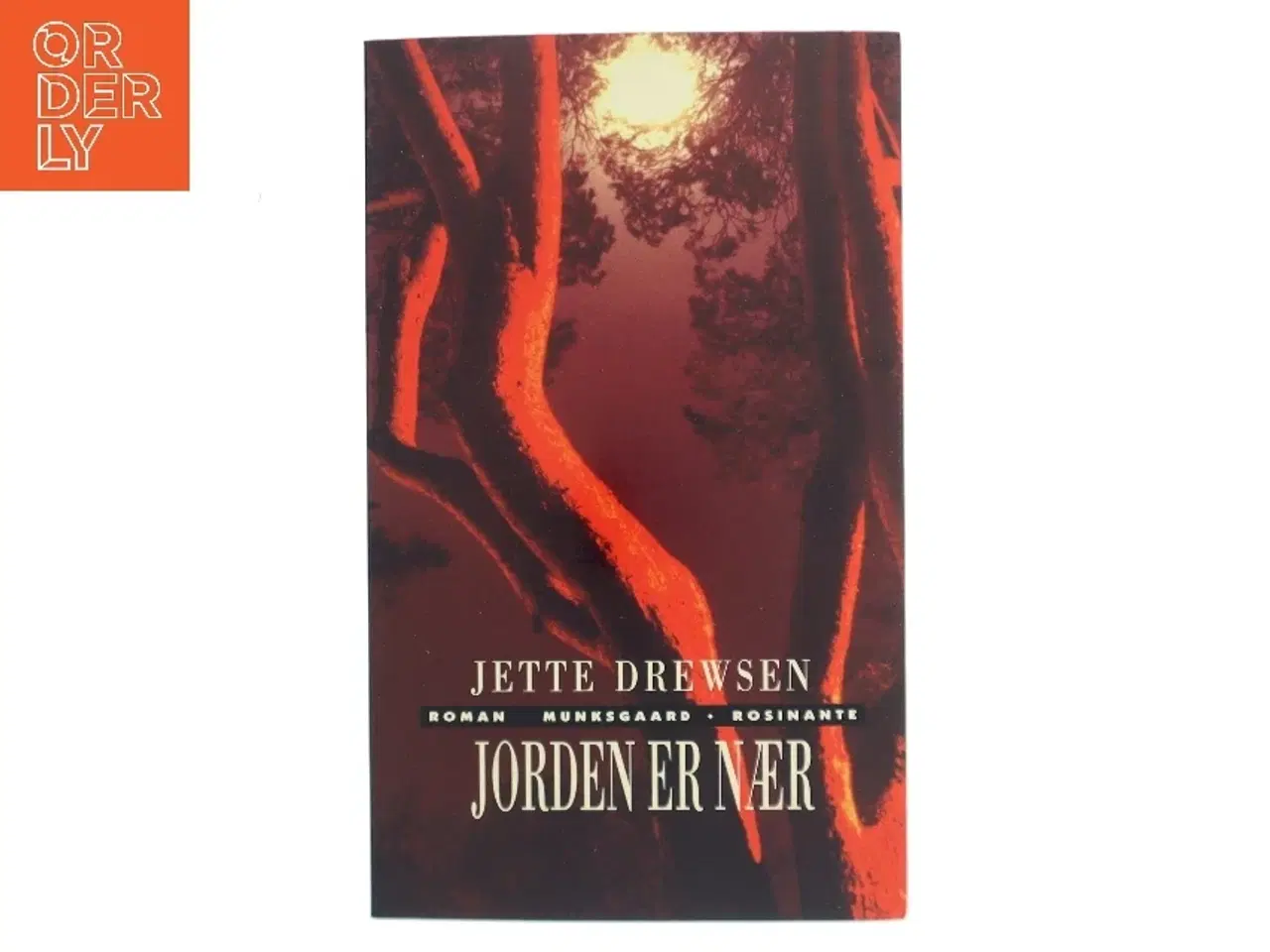 Billede 1 - Jorden er nær : roman af Jette Drewsen (Bog)