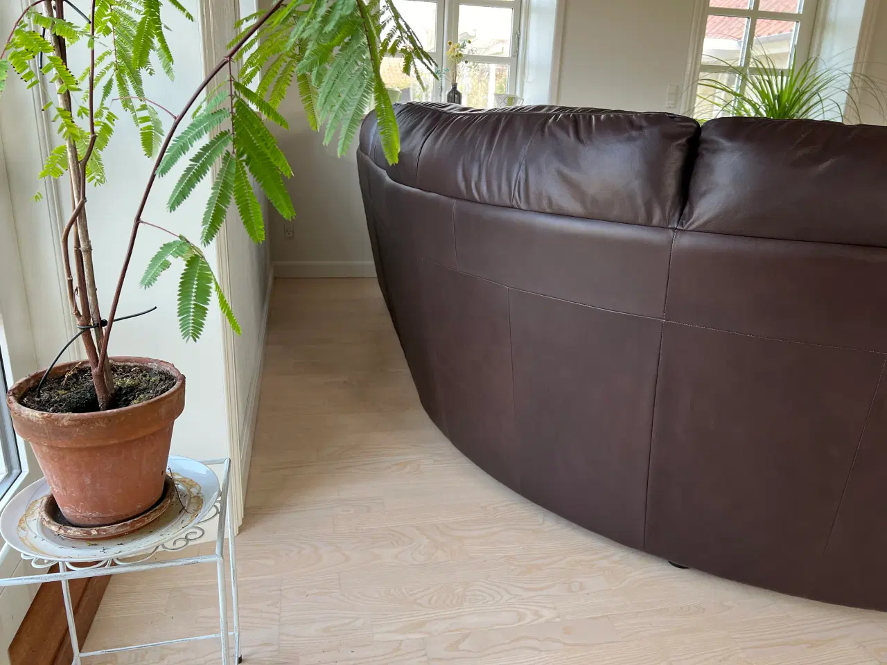 Billede 7 - Flot sofa i mørkebrunt læder