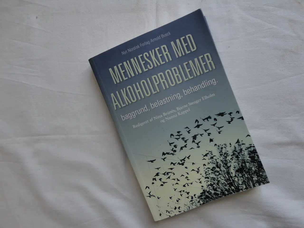 Billede 1 - Mennesker med alkoholproblemer :