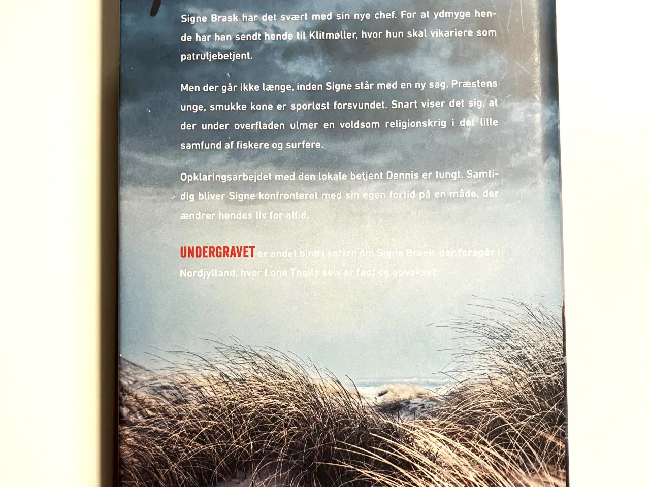 Billede 2 - Undergravet. Af Lone Theils