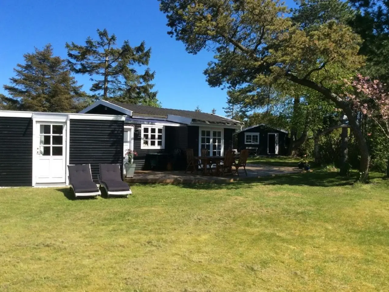 Billede 3 - Sk�nt attraktivt tr�sommerhus ved Ordrup N�s , F�revejle 50 m til strand