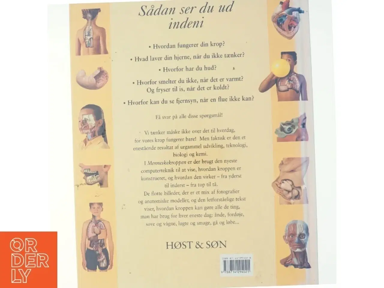 Billede 3 - Menneskekroppen : et spændende kig ind i dig selv! af Steve Parker (Bog)