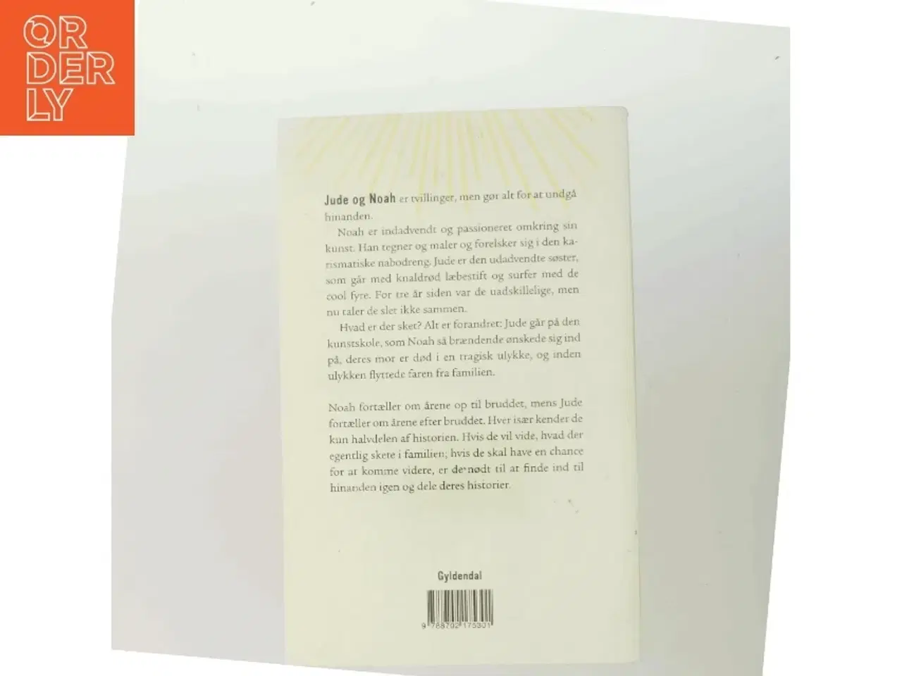 Billede 3 - Jeg henter solen ned af Jandy Nelson (Bog)