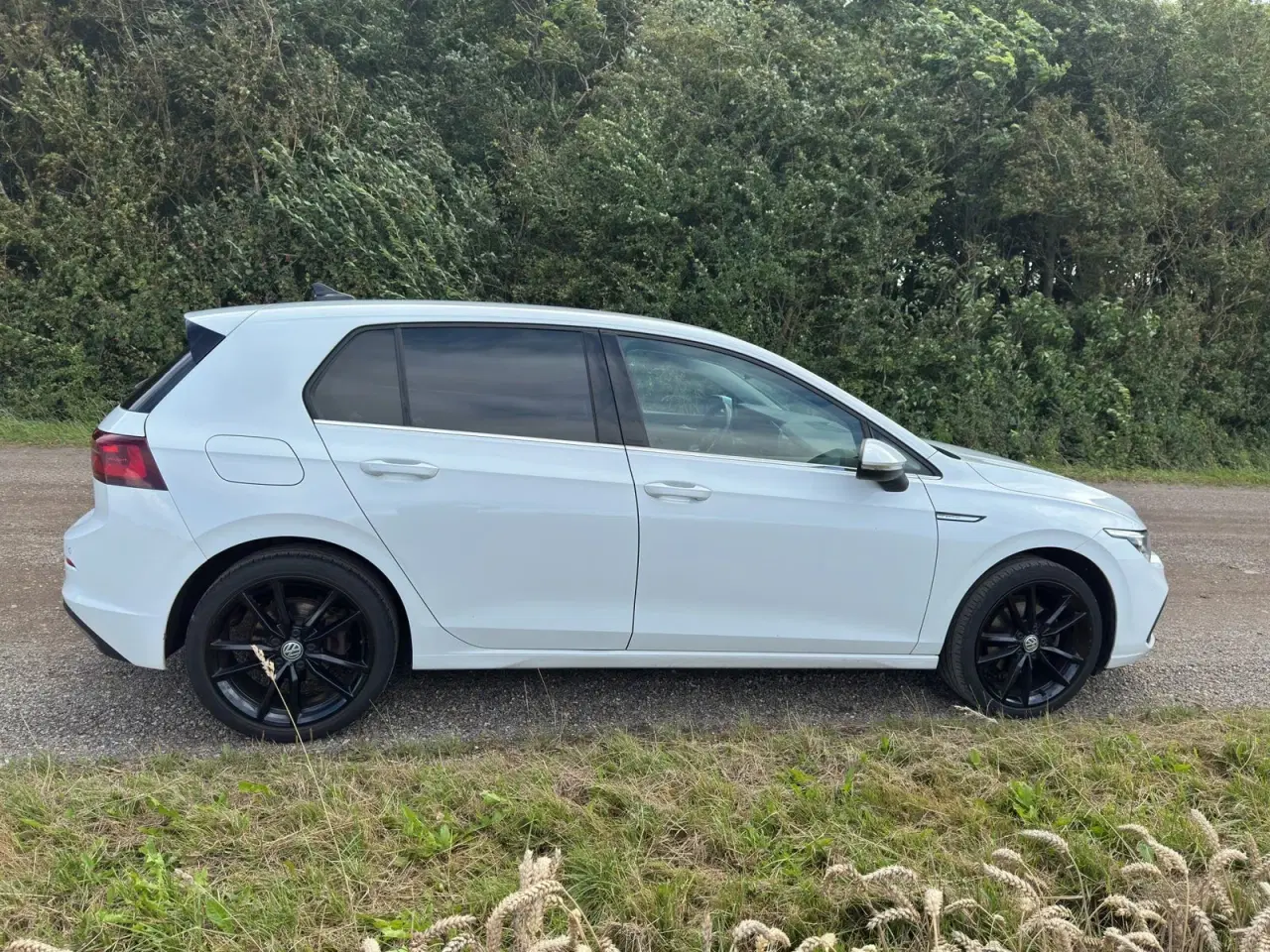 Billede 8 - VW Golf VIII 1,5 eTSi 150 Style DSG