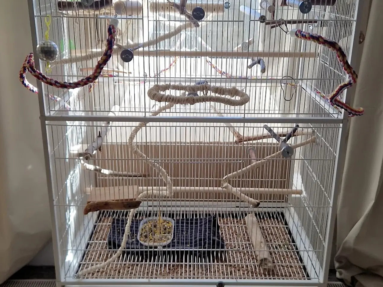 Billede 2 - Meget tam nymfeparakit