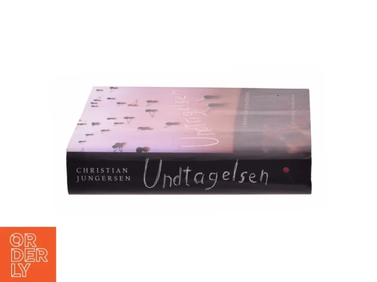 Billede 2 - Undtagelsen : roman af Christian Jungersen (Bog)