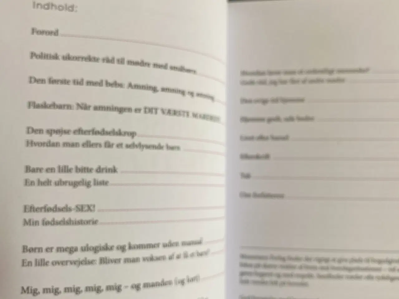 Billede 3 - Politisk ukorrekte råd til mødre bog af Mie Møller