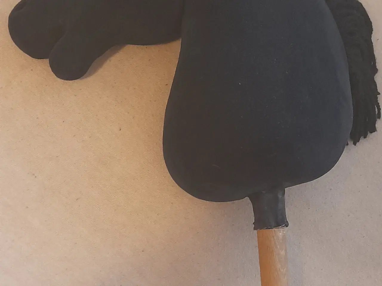 Billede 3 - Kæpheste