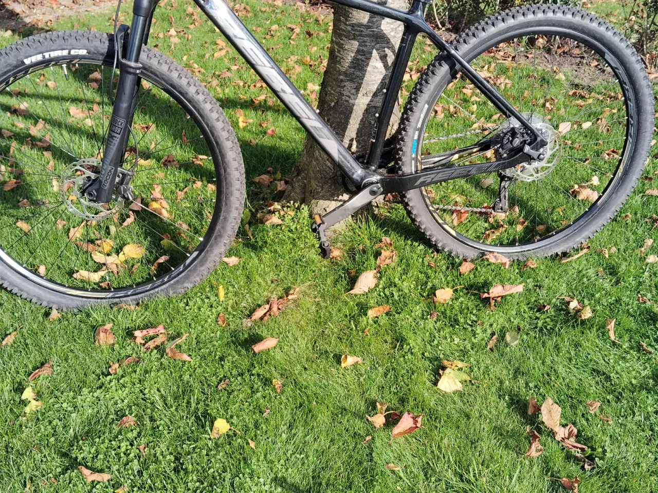 Billede 2 - Carbon MTB