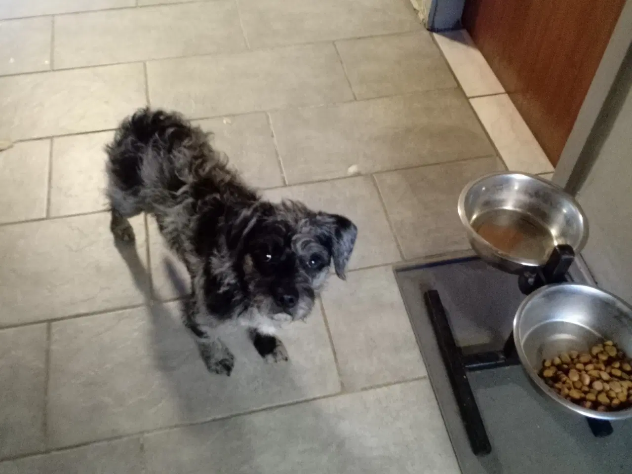 Billede 1 - Søde turbo 