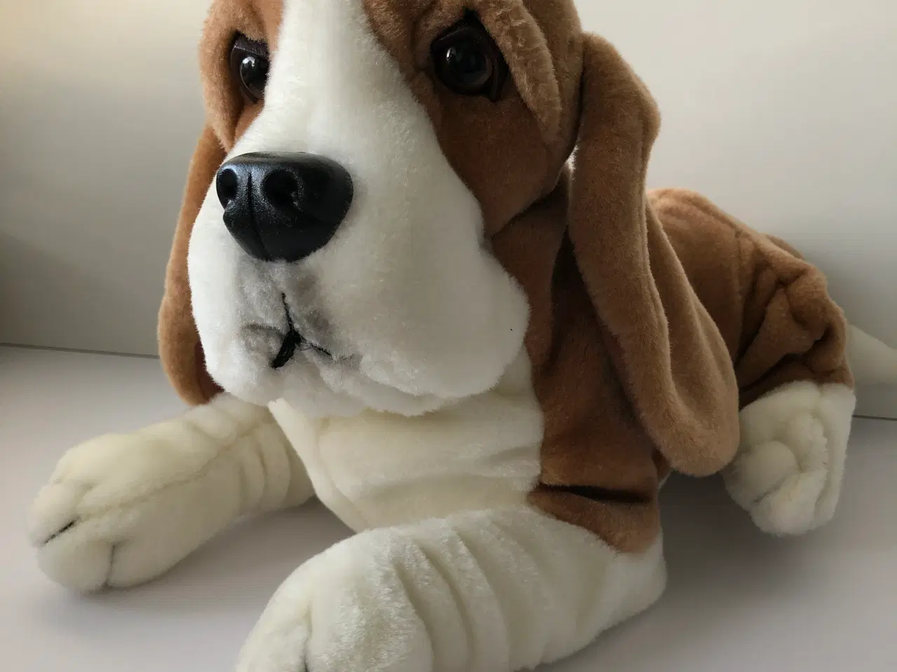 Billede 1 - Basset hund