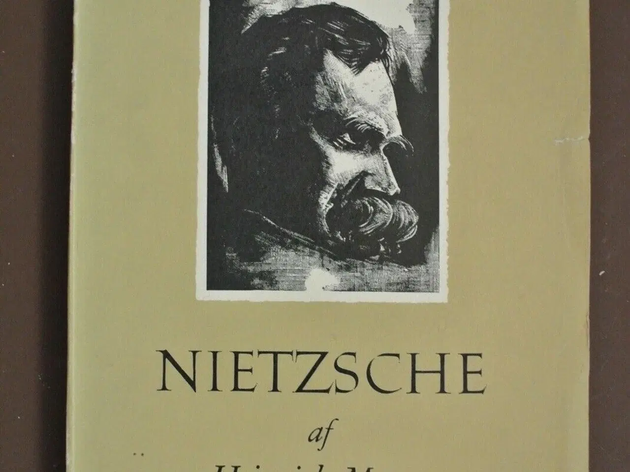Billede 1 - nietzsche, af heinrich mann, emne: filosofi