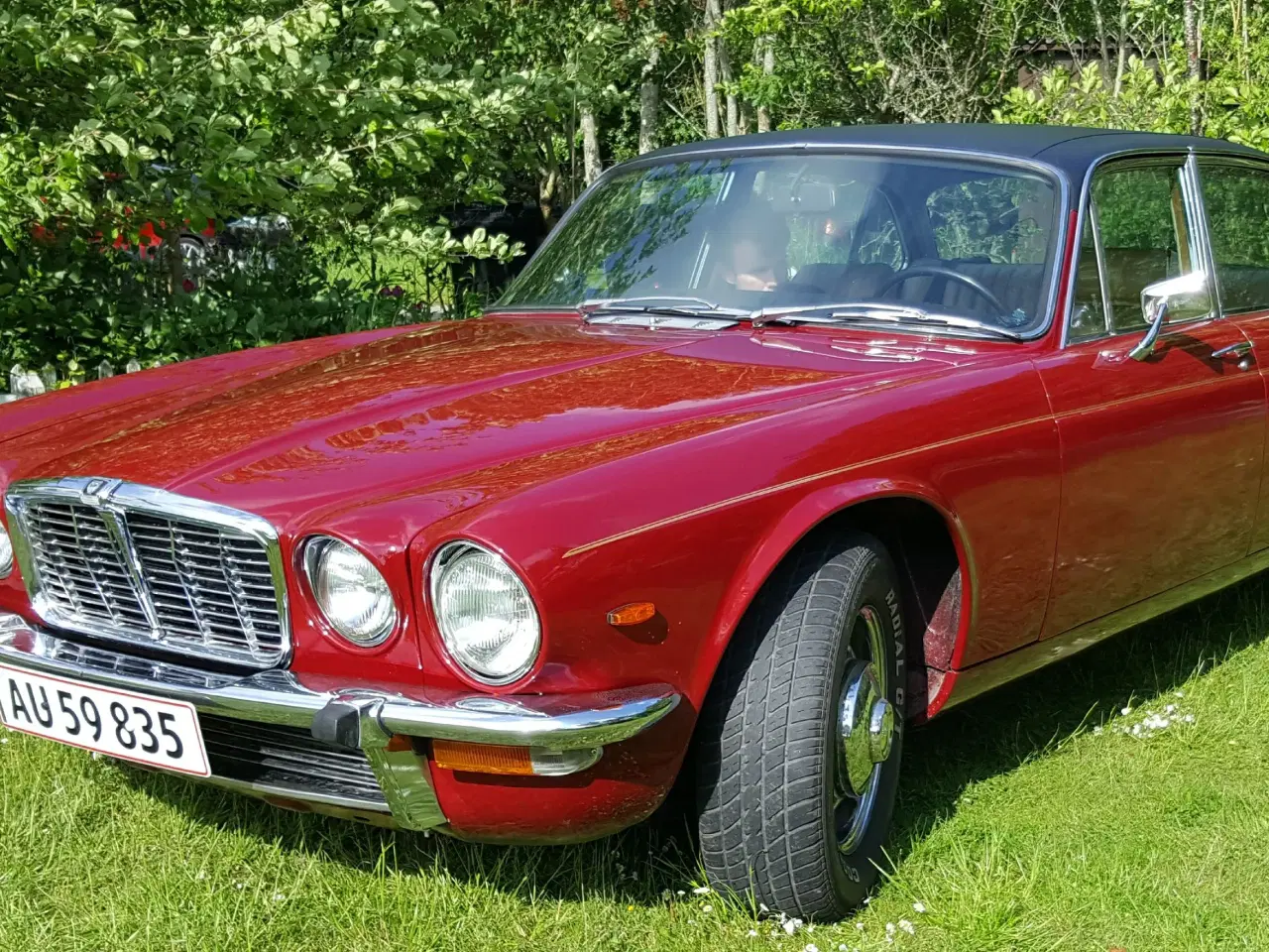 Billede 8 - Jaguar XJ6, nys, nylakeret