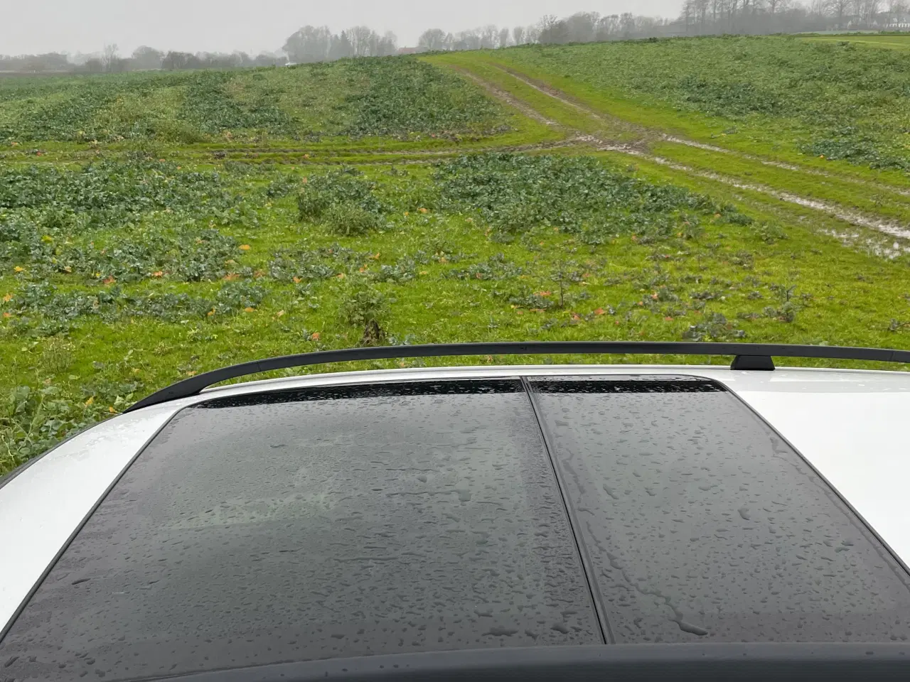 Billede 5 - BMW e91 325d